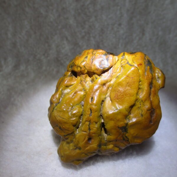 natural banded gobi agate raw desert mudstone home decor. (j13)