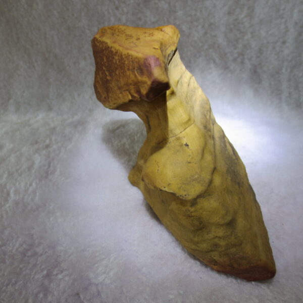 natural banded gobi agate raw desert mudstone home decor. (j14)