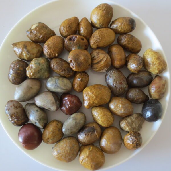 gobi desert agate raw rough stones natural gemstone specimen for collectors (p08) (copy)