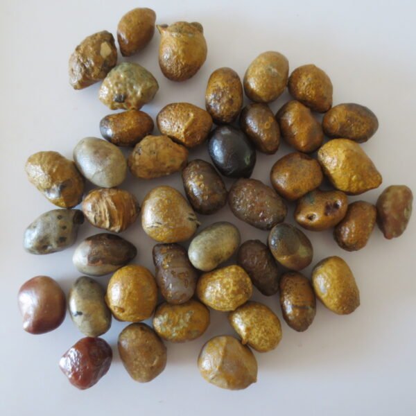 gobi desert agate raw rough stones natural gemstone specimen for collectors (p08) (copy)