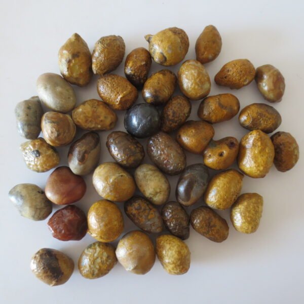 gobi desert agate raw rough stones natural gemstone specimen for collectors (p08) (copy)