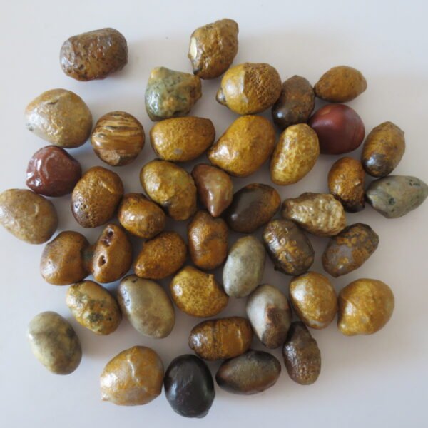gobi desert agate raw rough stones natural gemstone specimen for collectors (p08) (copy)