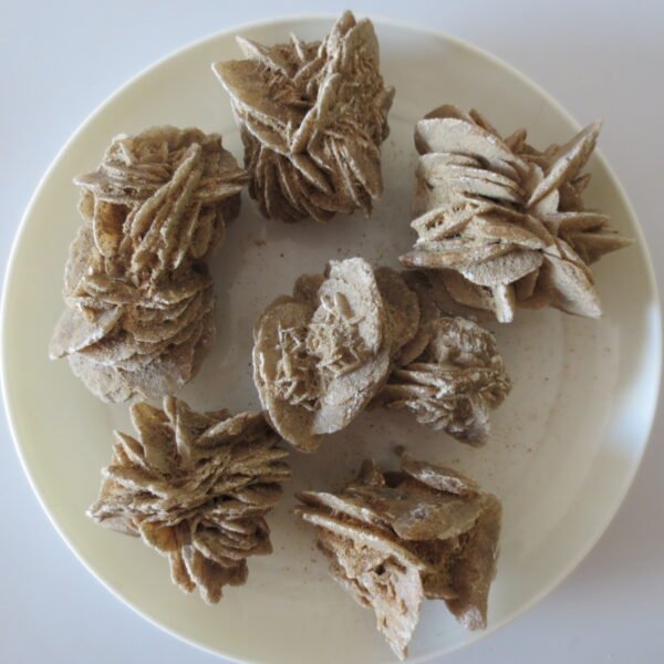 gobi desert flower raw rough stones natural gemstone specimen for collectors (p10)