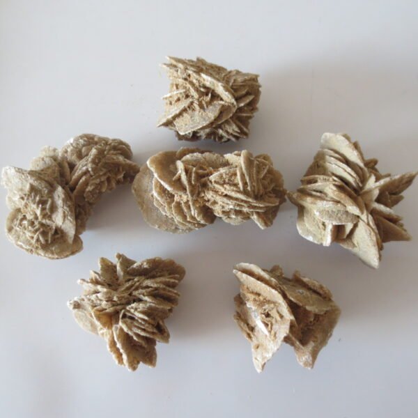 gobi desert flower raw rough stones natural gemstone specimen for collectors (p10)