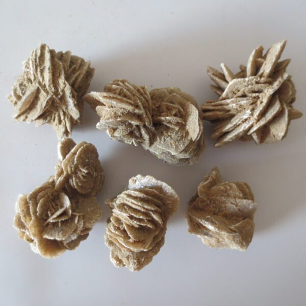 gobi desert flower raw rough stones natural gemstone specimen for collectors (p10)