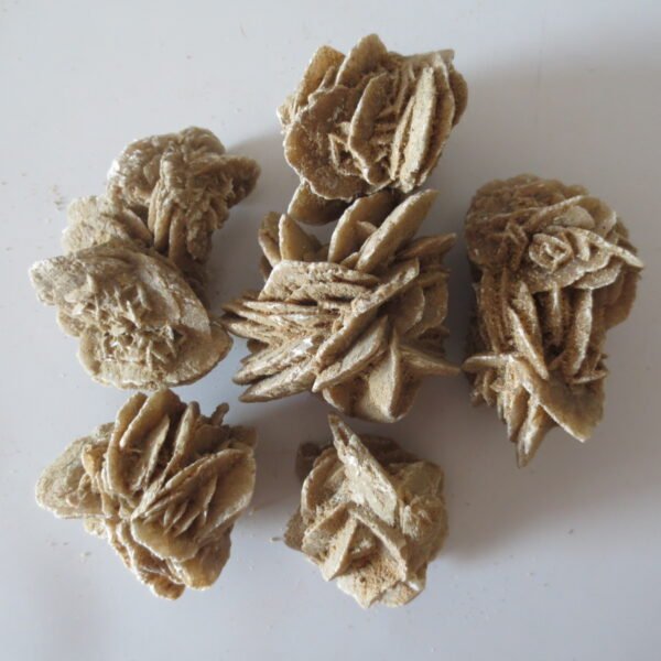 gobi desert flower raw rough stones natural gemstone specimen for collectors (p10)