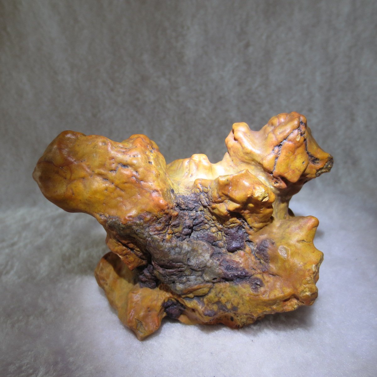 natural banded gobi agate raw desert mudstone home decor. (j16)