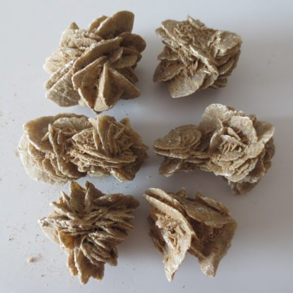 gobi desert flower raw rough stones natural gemstone specimen for collectors (p10)