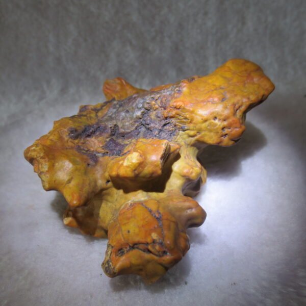 natural banded gobi agate raw desert mudstone home decor. (j16)