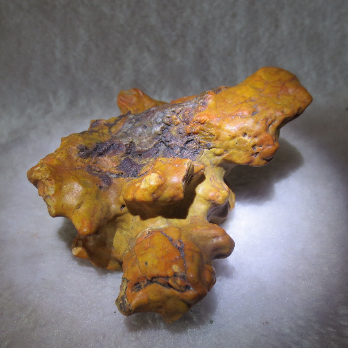 natural banded gobi agate raw desert mudstone home decor. (j16)