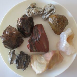 gobi desert flower raw rough stones natural gemstone specimen for collectors (p10) (copy)