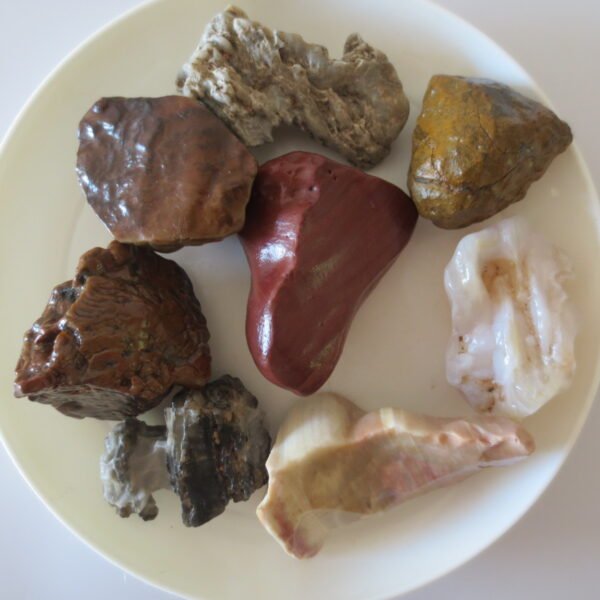 gobi desert flower raw rough stones natural gemstone specimen for collectors (p10) (copy)