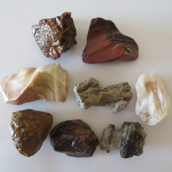 gobi desert flower raw rough stones natural gemstone specimen for collectors (p10) (copy)