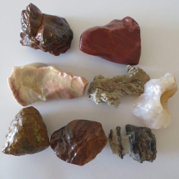 gobi desert flower raw rough stones natural gemstone specimen for collectors (p10) (copy)