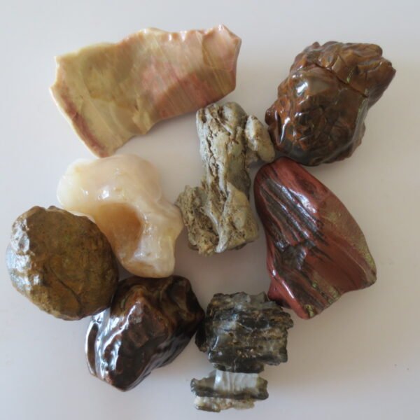 gobi desert flower raw rough stones natural gemstone specimen for collectors (p10) (copy)