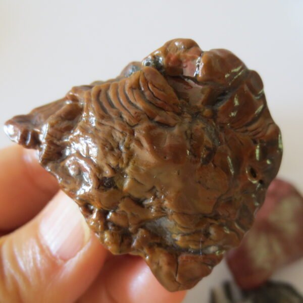 gobi desert flower raw rough stones natural gemstone specimen for collectors (p10) (copy)