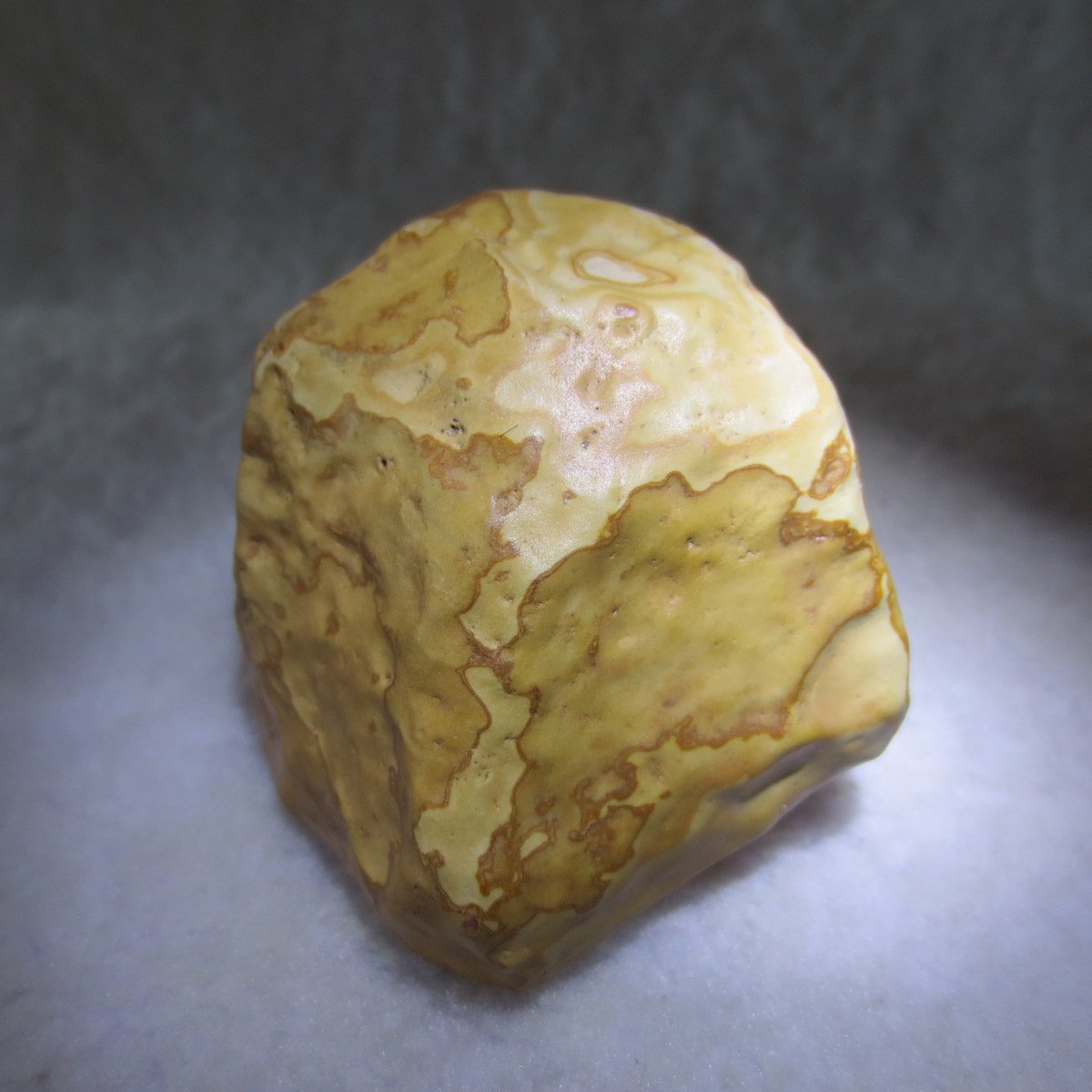 natural banded gobi agate raw desert mudstone home decor. (j20)