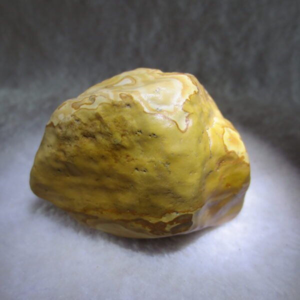 natural banded gobi agate raw desert mudstone home decor. (j20)