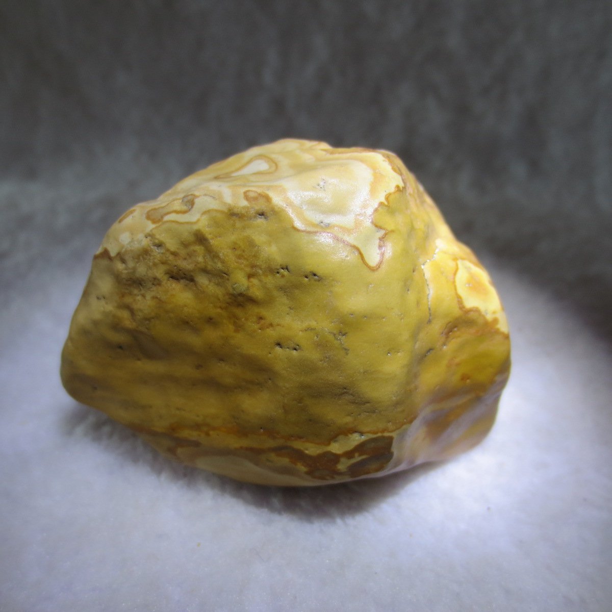 natural banded gobi agate raw desert mudstone home decor. (j20)