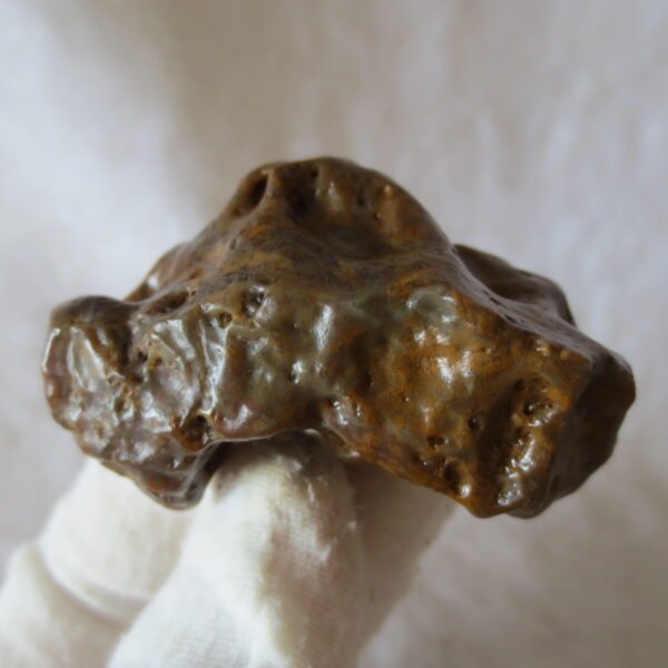 multi color gobi flower agate raw stone natural botryoidal desert agate specimen (k108) (copy)