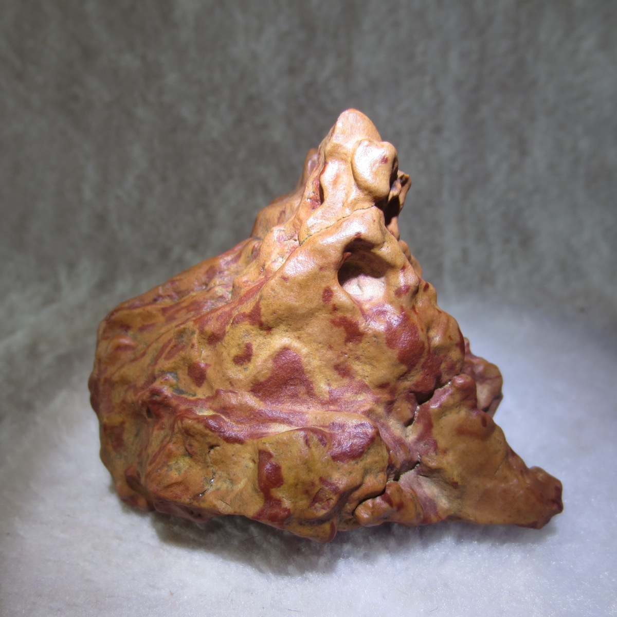 natural banded gobi agate raw desert mudstone home decor. (j21)