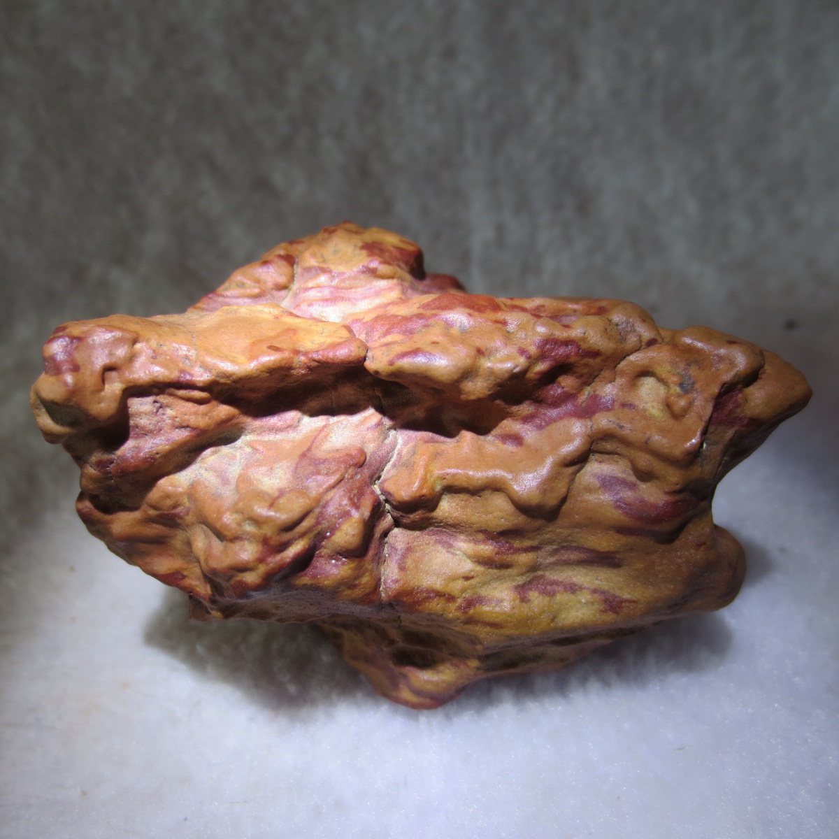 natural banded gobi agate raw desert mudstone home decor. (j21)