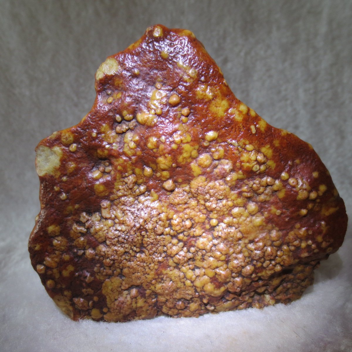 natural banded gobi agate raw desert mudstone home decor. (j22)