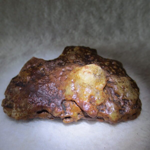 natural banded gobi agate raw desert mudstone home decor. (j22)