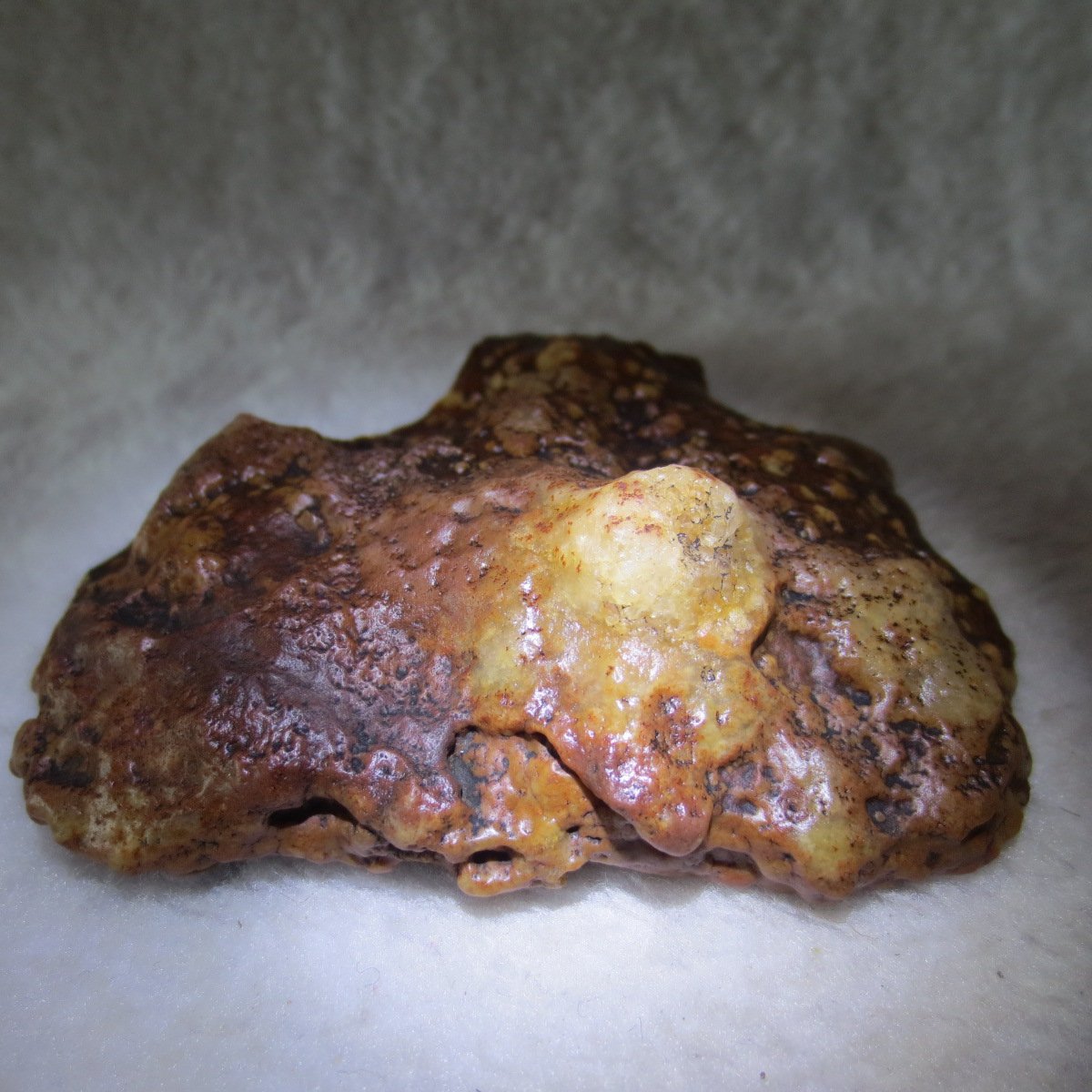 natural banded gobi agate raw desert mudstone home decor. (j22)