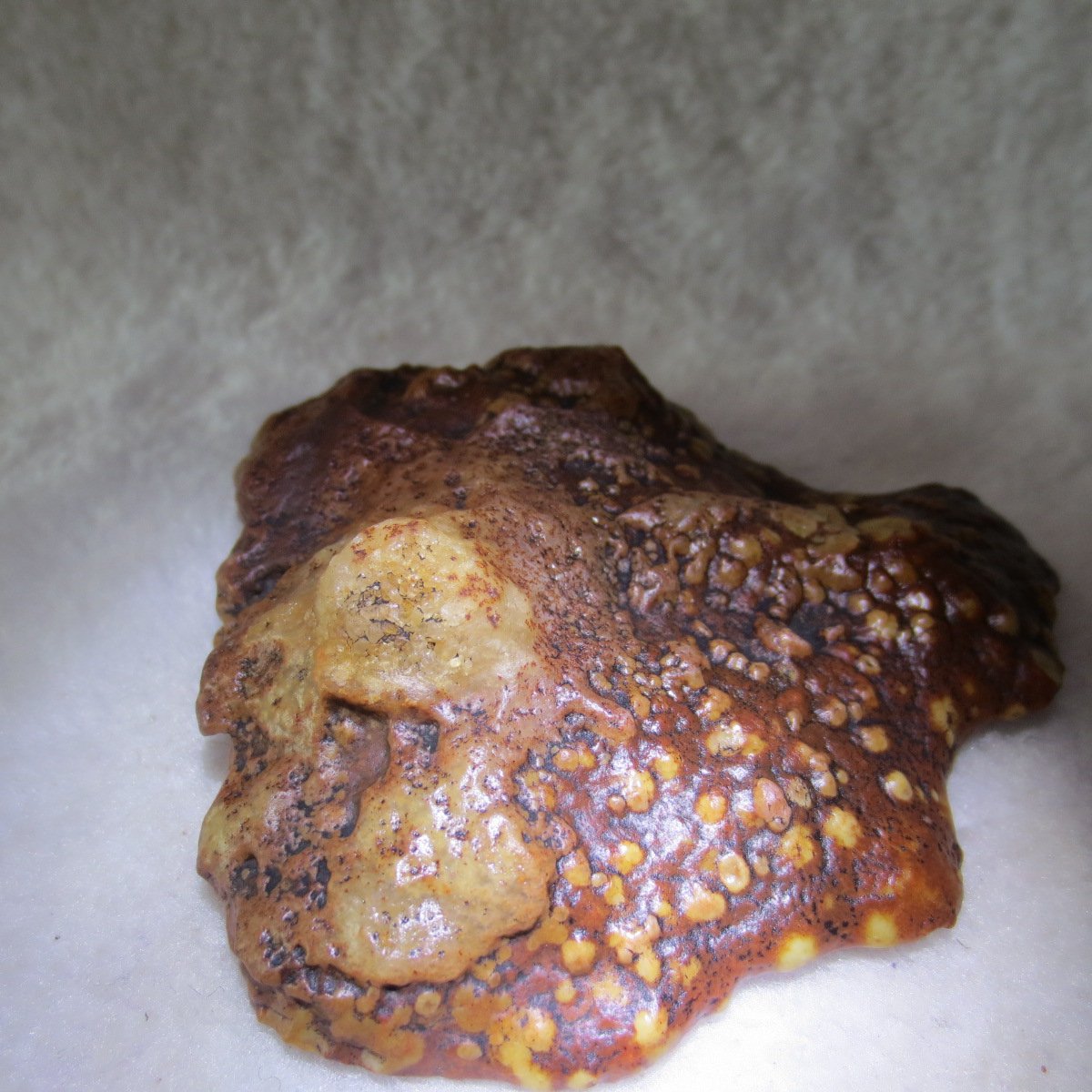 natural banded gobi agate raw desert mudstone home decor. (j22)