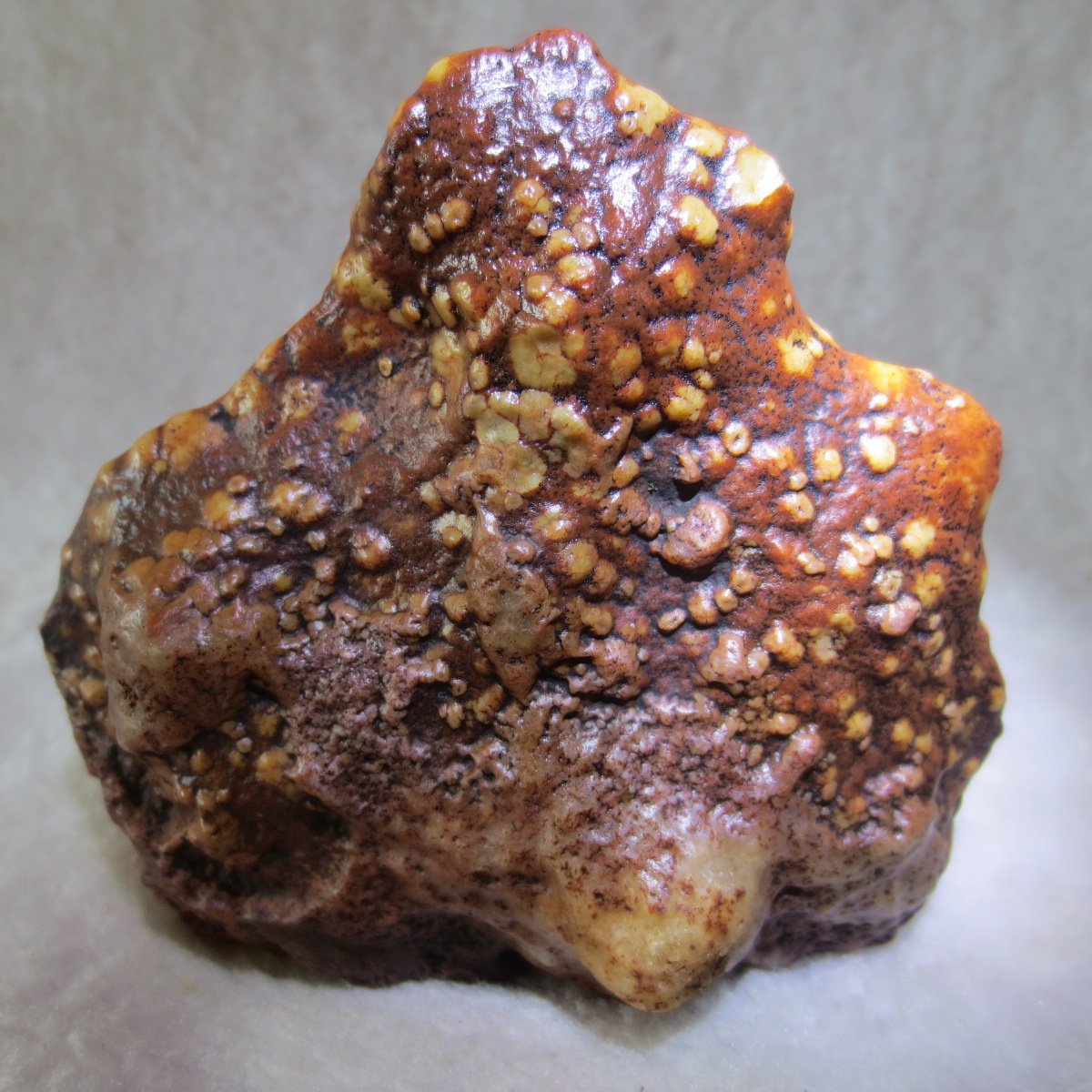 natural banded gobi agate raw desert mudstone home decor. (j22)