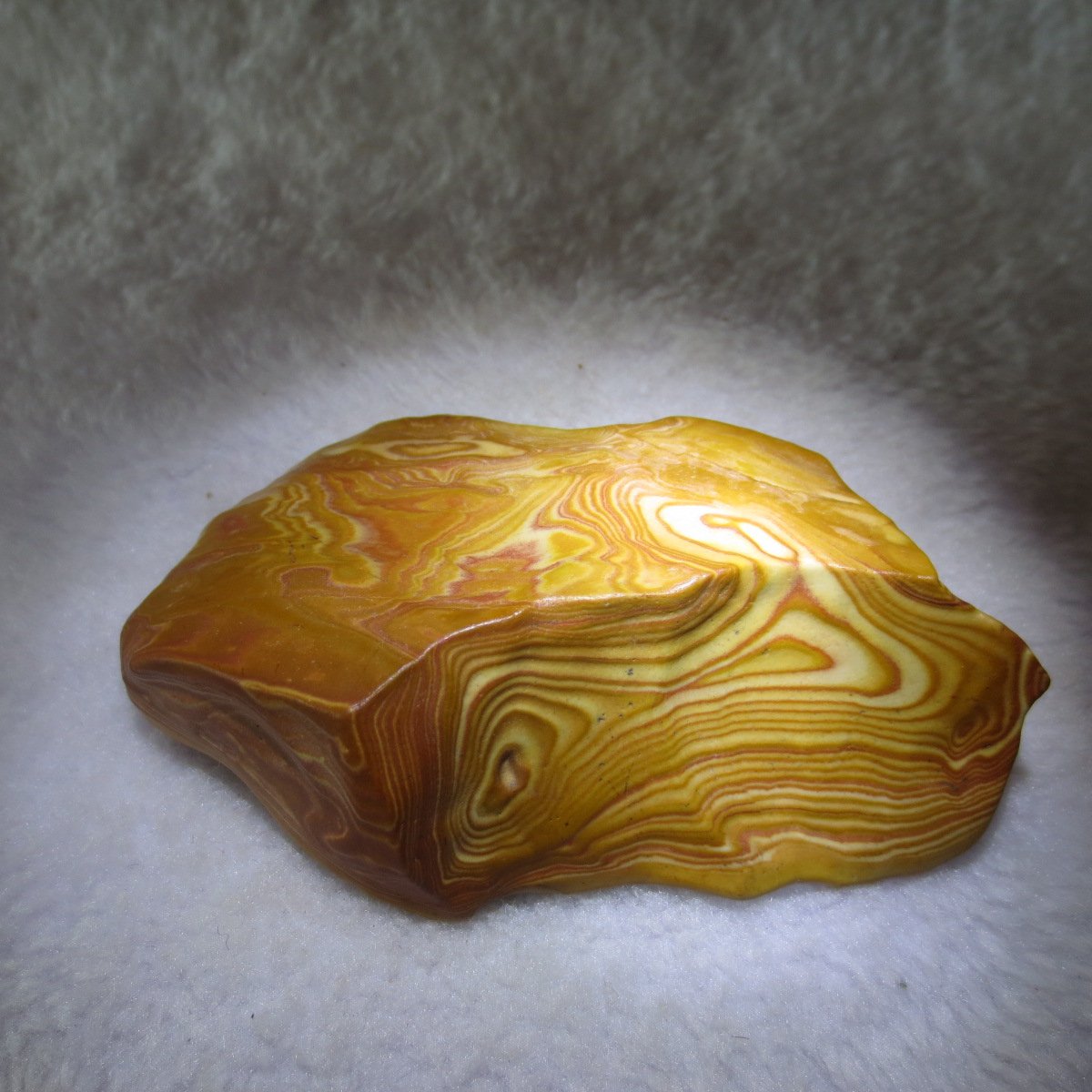 natural banded gobi agate raw desert mudstone mineral (j24)