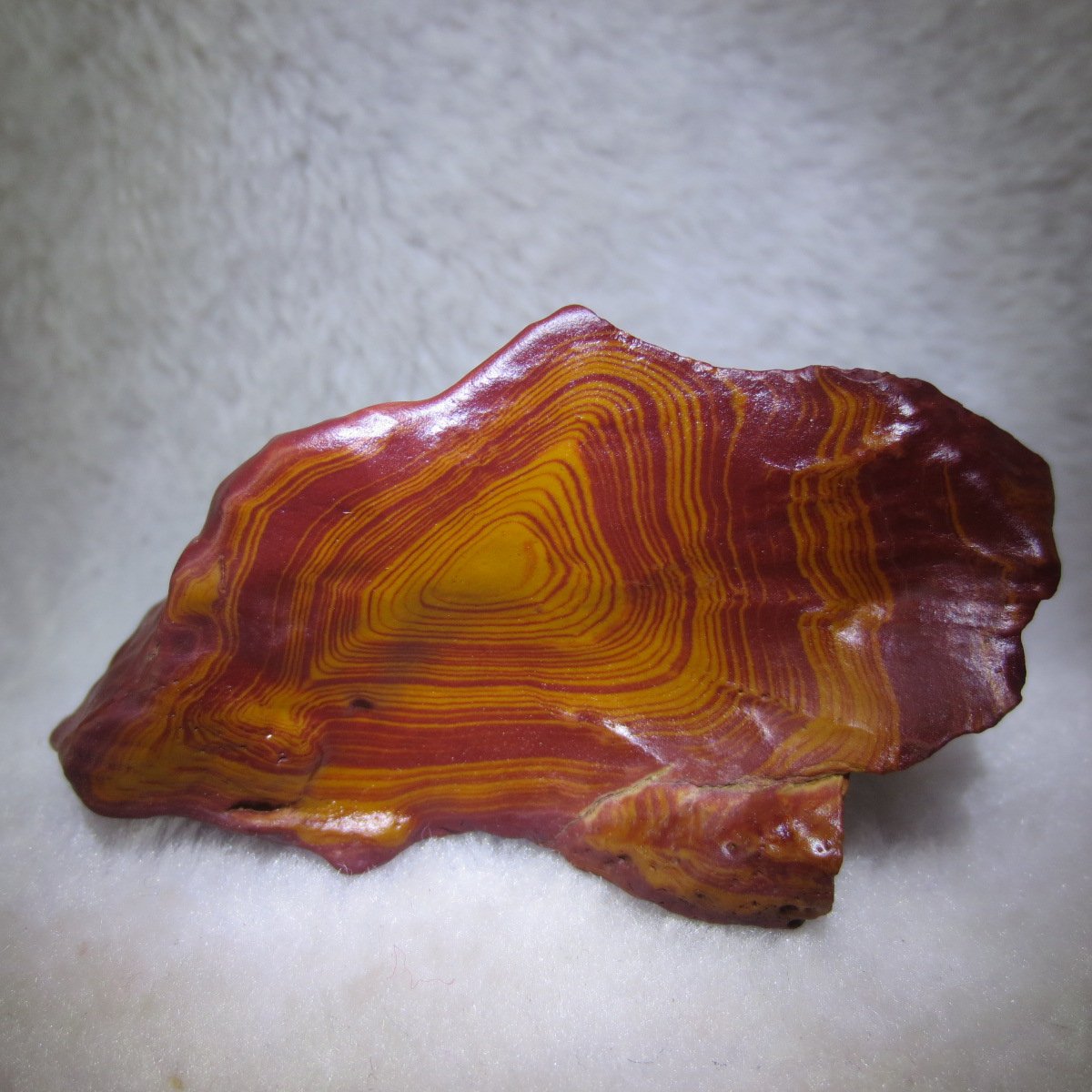 natural banded gobi agate raw desert mudstone mineral (j25)