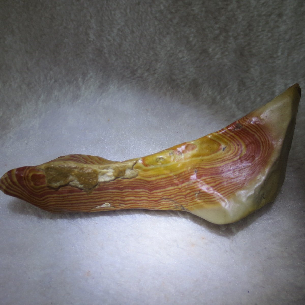 natural banded gobi agate raw desert mudstone mineral (j26)