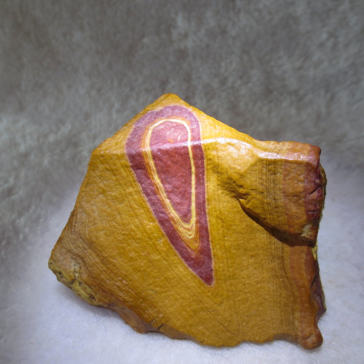 natural banded gobi agate raw desert mudstone home decor. (j28)