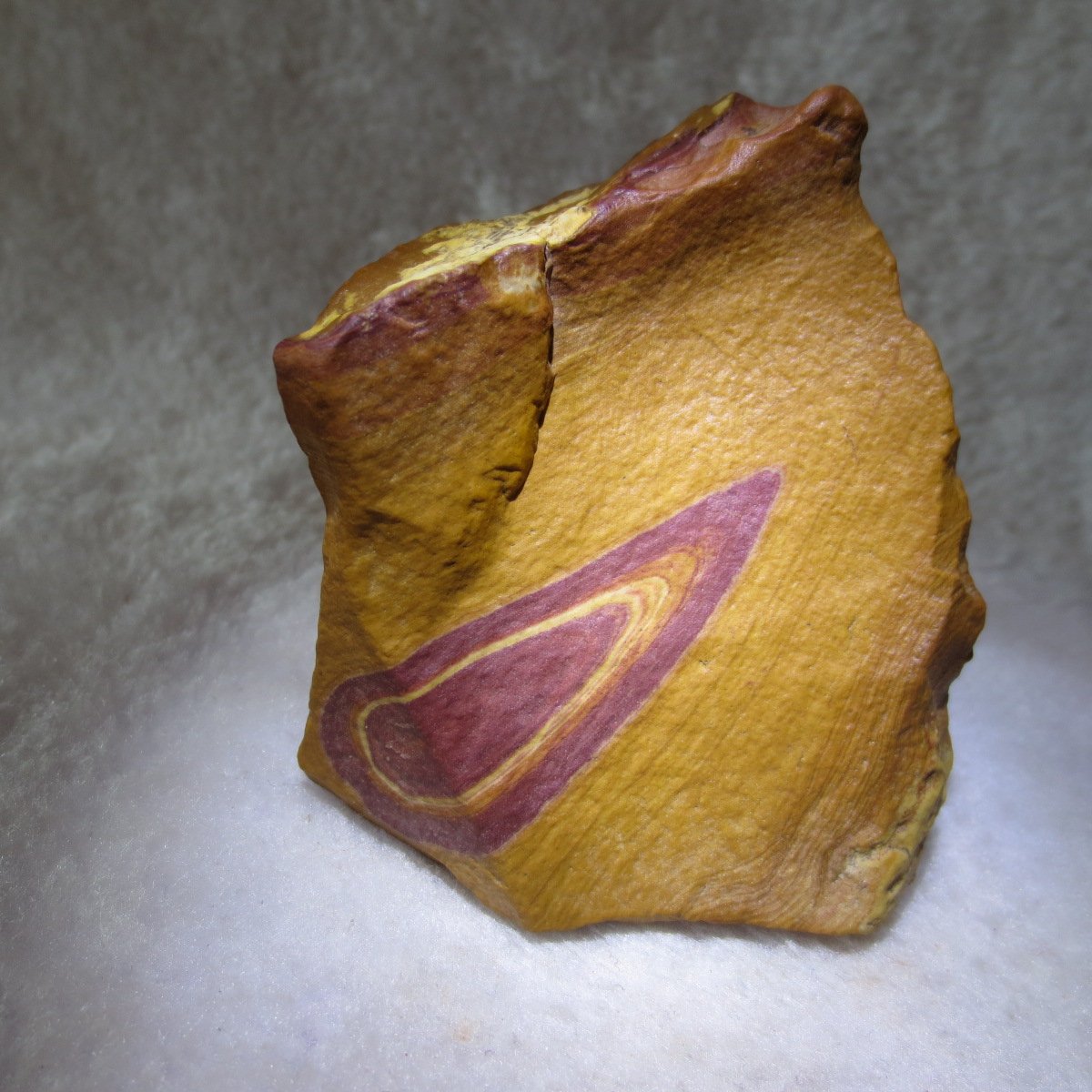 natural banded gobi agate raw desert mudstone home decor. (j28)