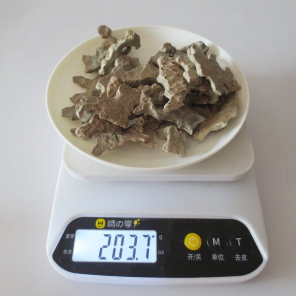 bulk mixed natural raw gobi desert agate stones (p03)