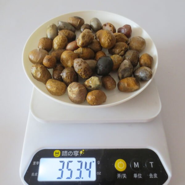gobi desert agate raw rough stones natural gemstone specimen for collectors (p08) (copy)