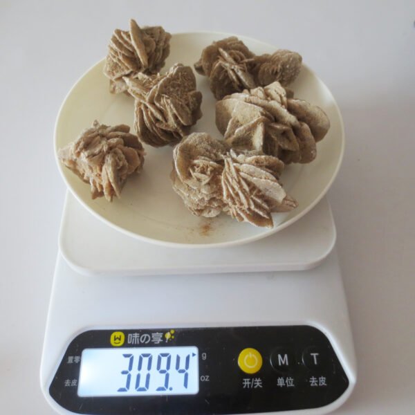 gobi desert flower raw rough stones natural gemstone specimen for collectors (p10)