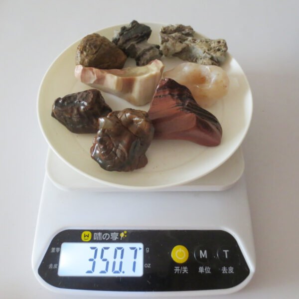 gobi desert flower raw rough stones natural gemstone specimen for collectors (p10) (copy)