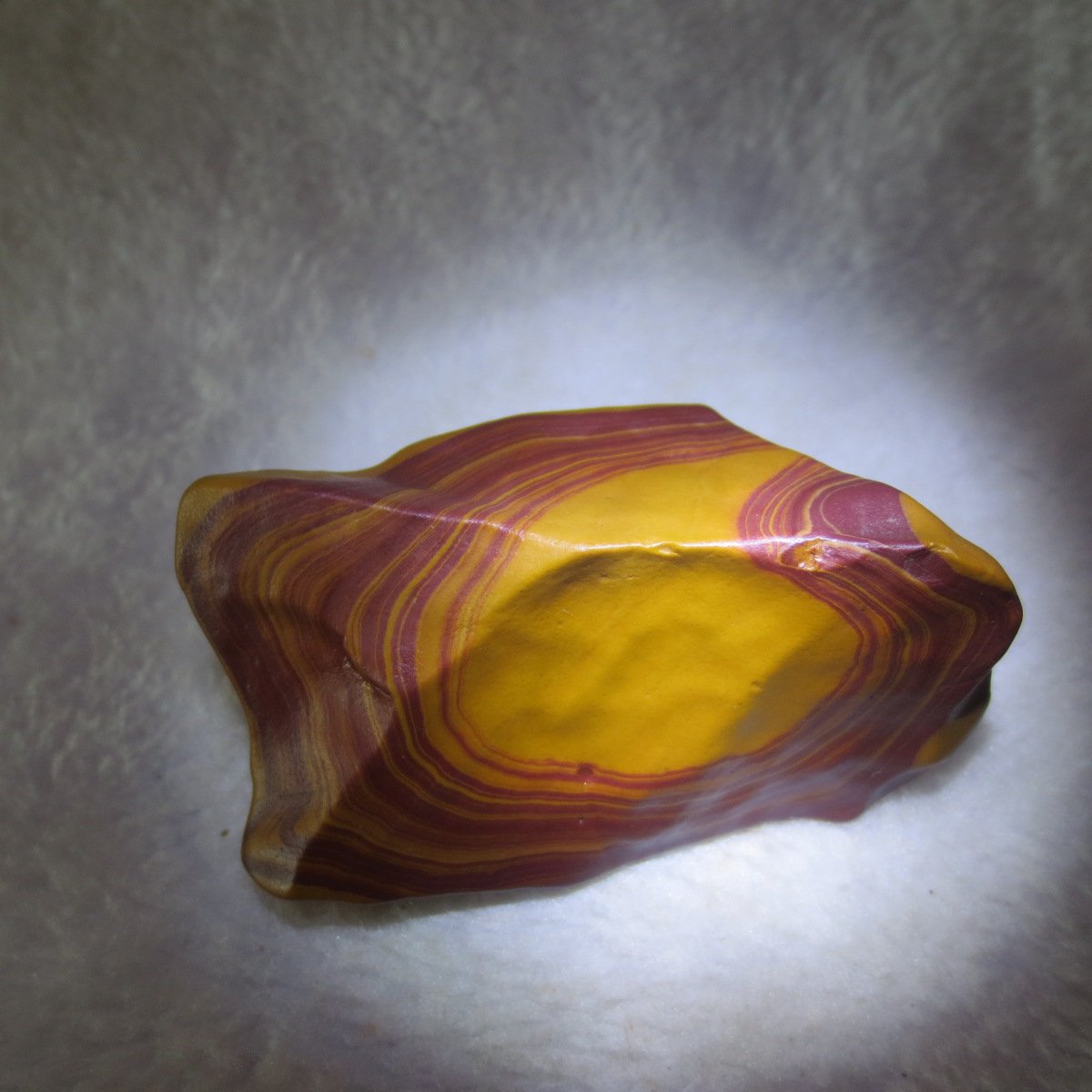 natural banded gobi agate raw desert mudstone mineral (j31)