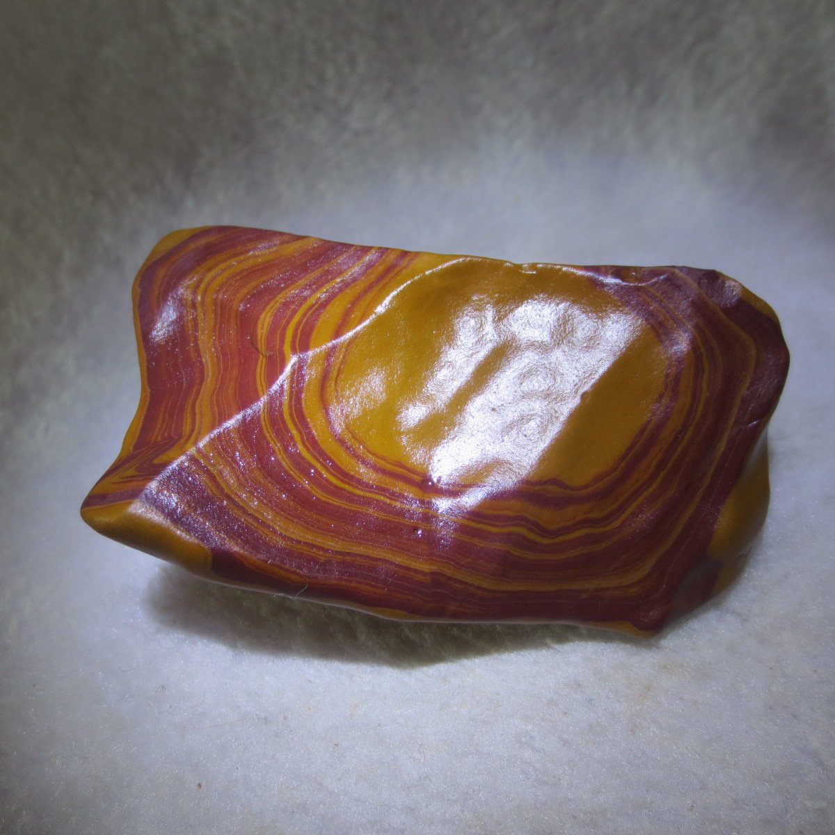 natural banded gobi agate raw desert mudstone mineral (j31)
