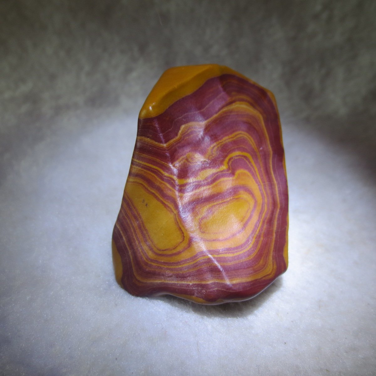 natural banded gobi agate raw desert mudstone mineral (j31)
