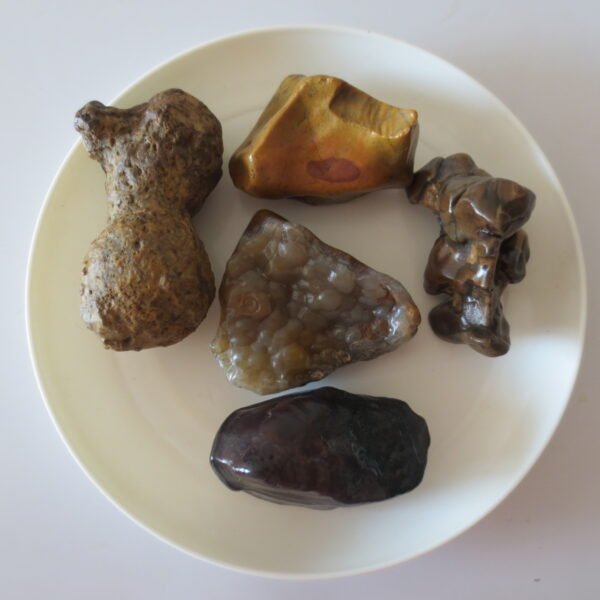 gobi desert raw rough stones natural gemstone specimen for collectors (p25)