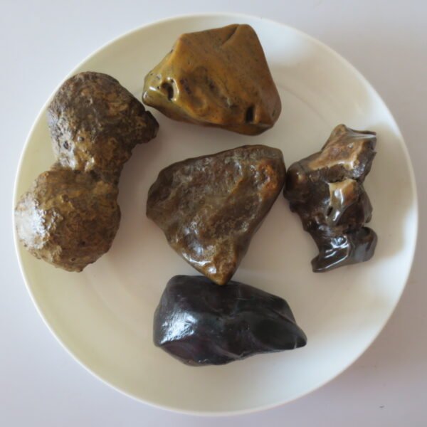 gobi desert raw rough stones natural gemstone specimen for collectors (p25)
