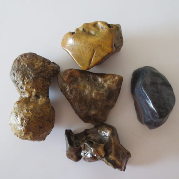 gobi desert raw rough stones natural gemstone specimen for collectors (p25)