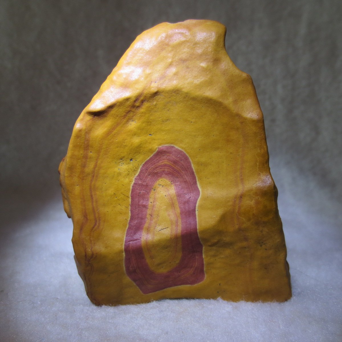 natural banded gobi agate raw desert mudstone mineral (j33)