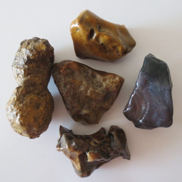 gobi desert raw rough stones natural gemstone specimen for collectors (p25)
