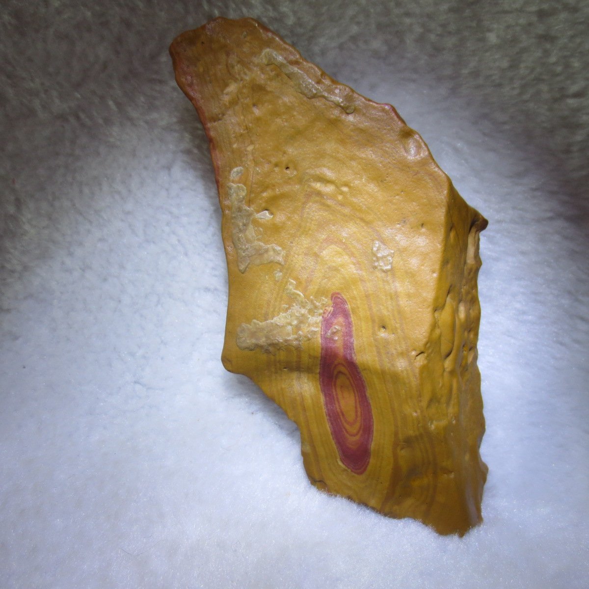 natural banded gobi agate raw desert mudstone mineral (j34)