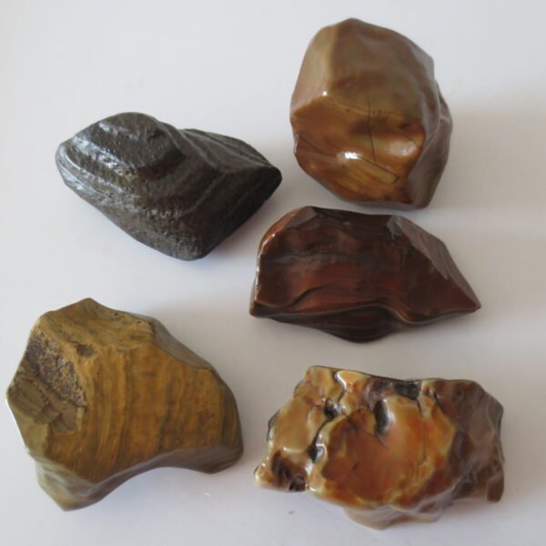 gobi desert raw rough stones natural gemstone specimen for collectors (p26) (copy)